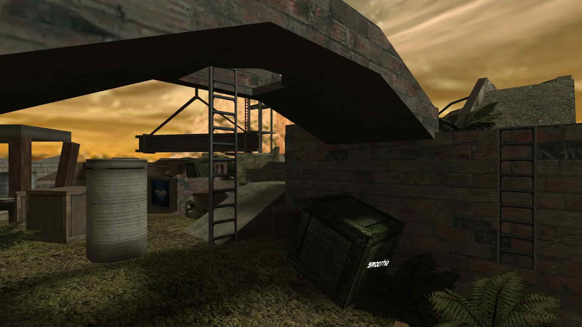 rayish_survival