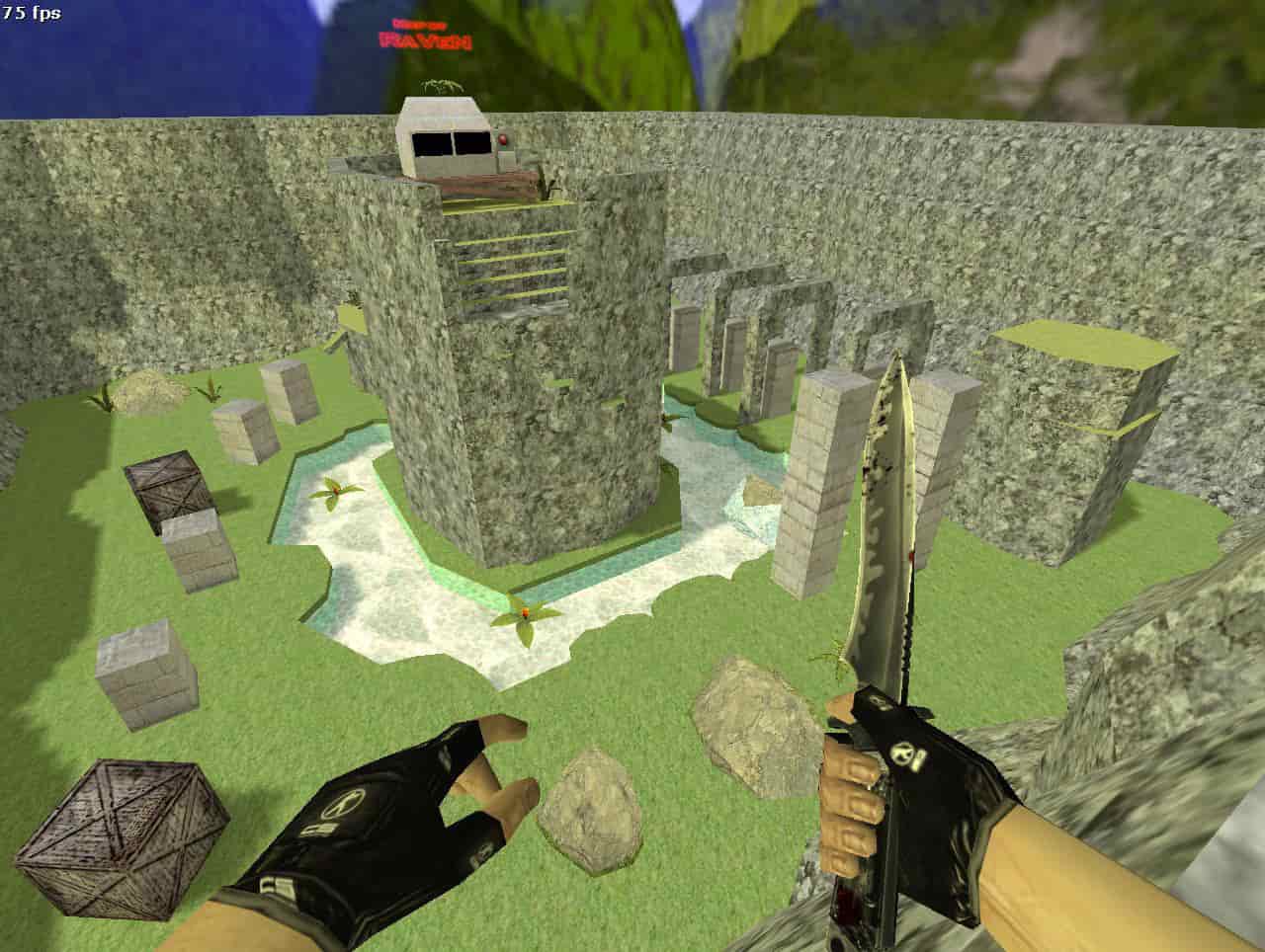 hnslt_raven_hops