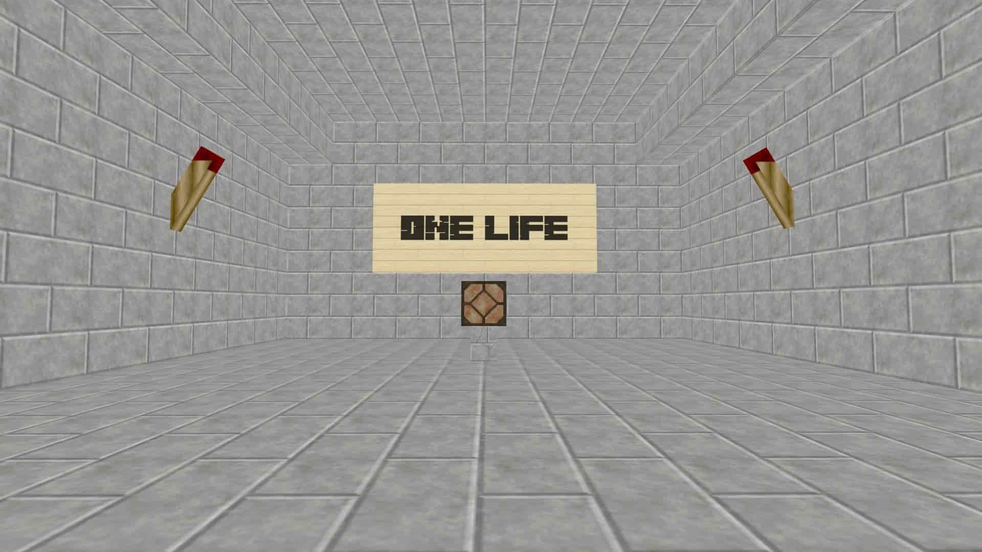jro_mc_onelife