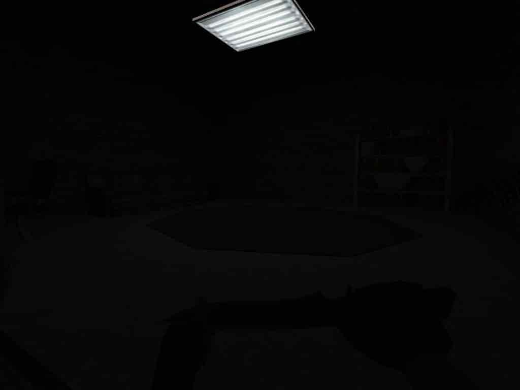 1hp_insomniac
