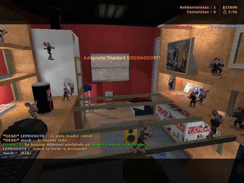35hp_ratsroom