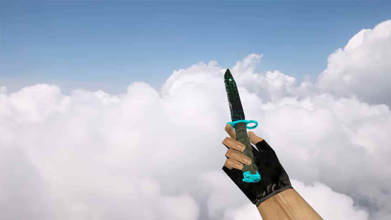 Bayonet Polymer