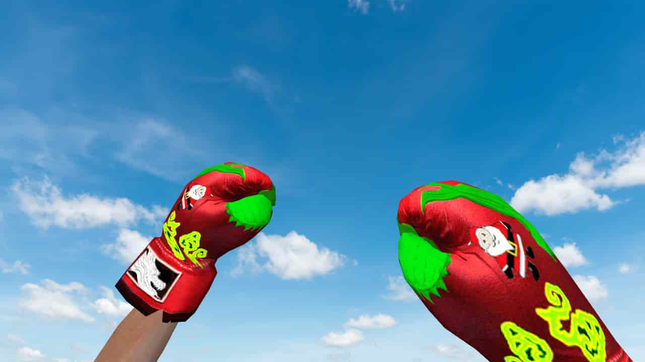 Boxing Gloves