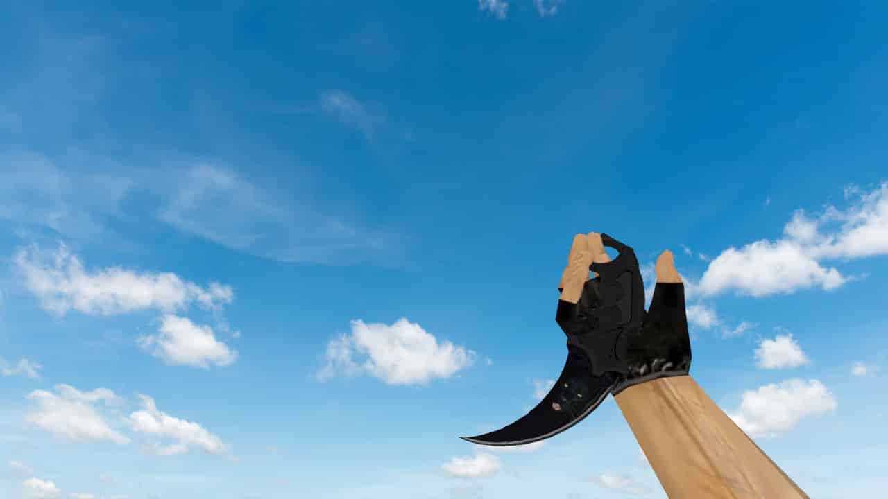 Karambit Black Panther