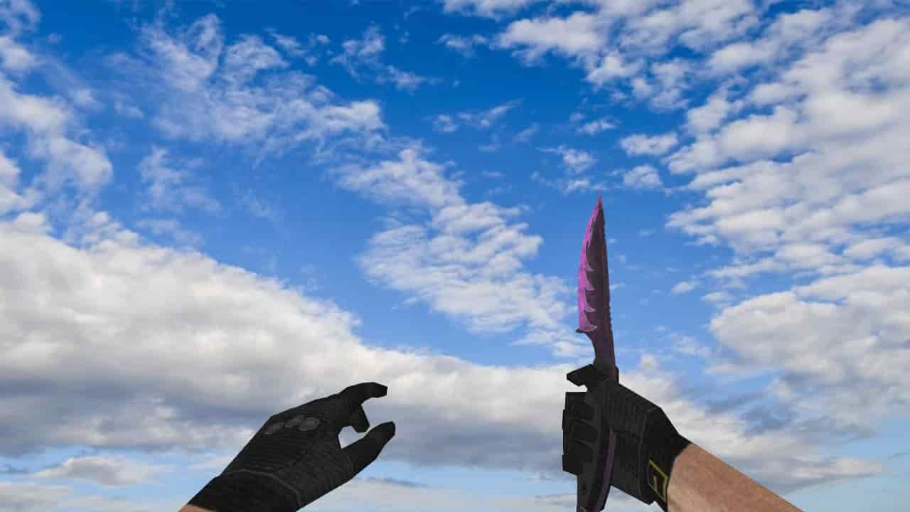 Lionness Knife