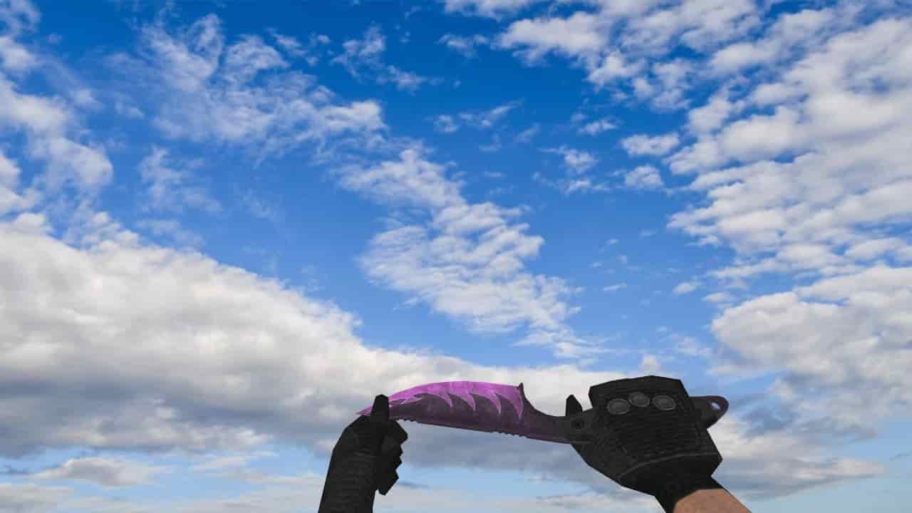 Lionness Knife