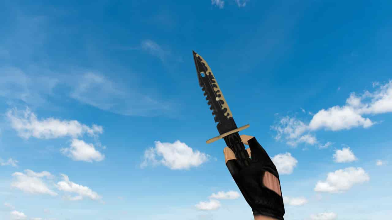 M9 Bayonet Combat