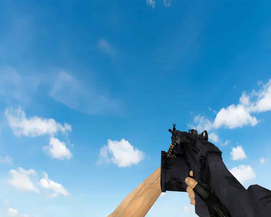 M249 | Полуночная пальма (Midnight Palm)