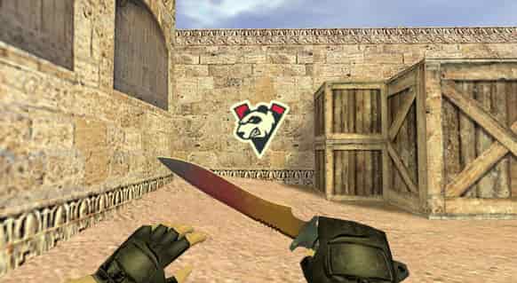 Virtus.pro Chinese Special Logo