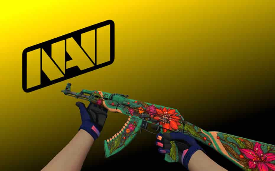 Инвентарь Navi Flamie