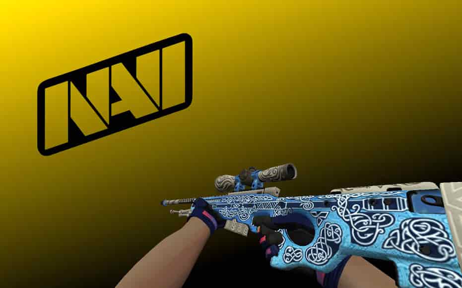 Инвентарь Navi Flamie
