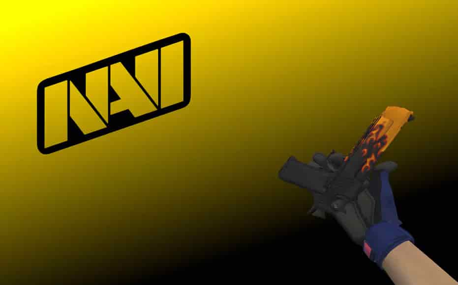 Инвентарь Navi Flamie