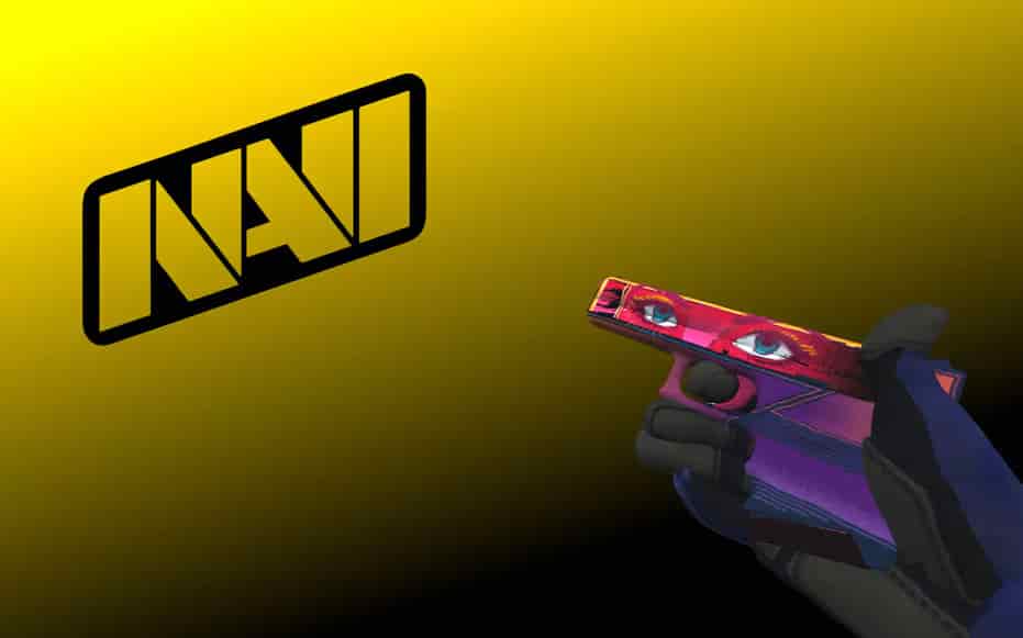 Инвентарь Navi Flamie