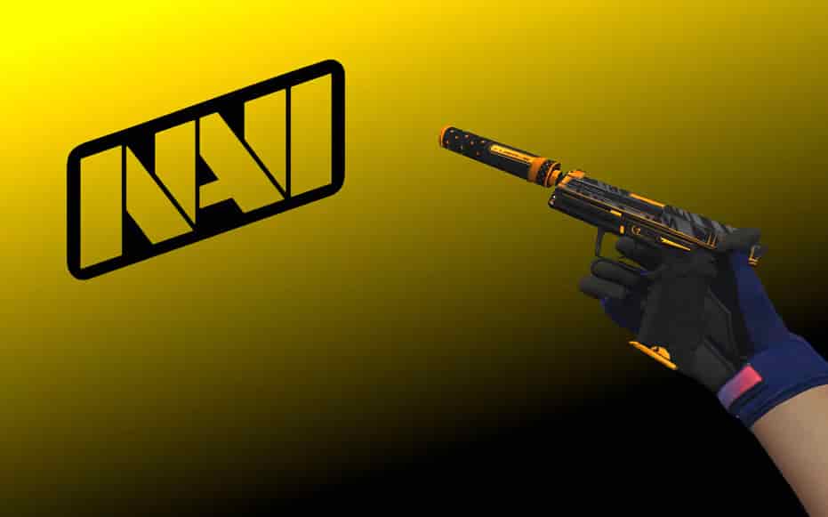 Инвентарь Navi Flamie