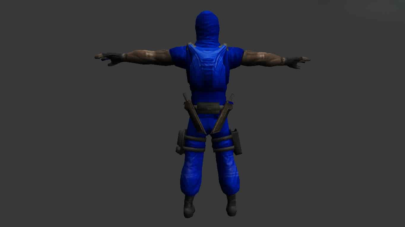 Ninja Soldier