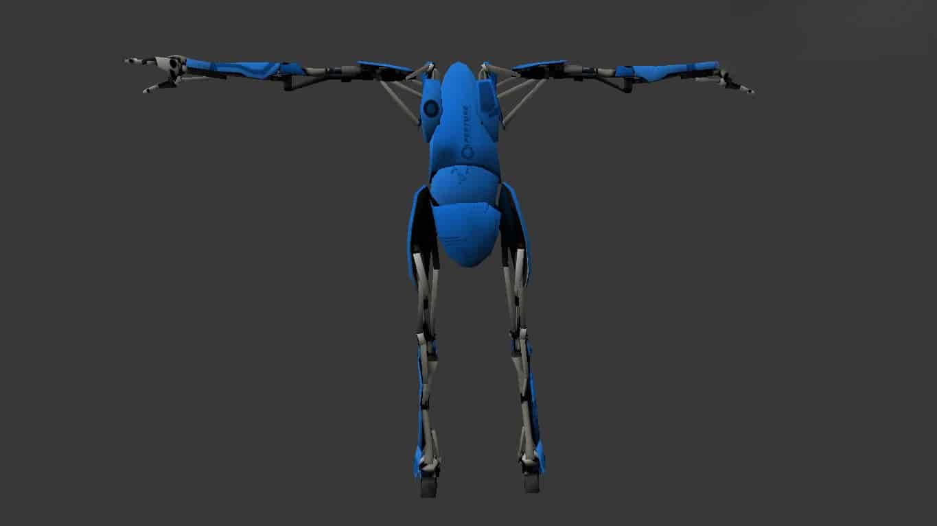 P-Body