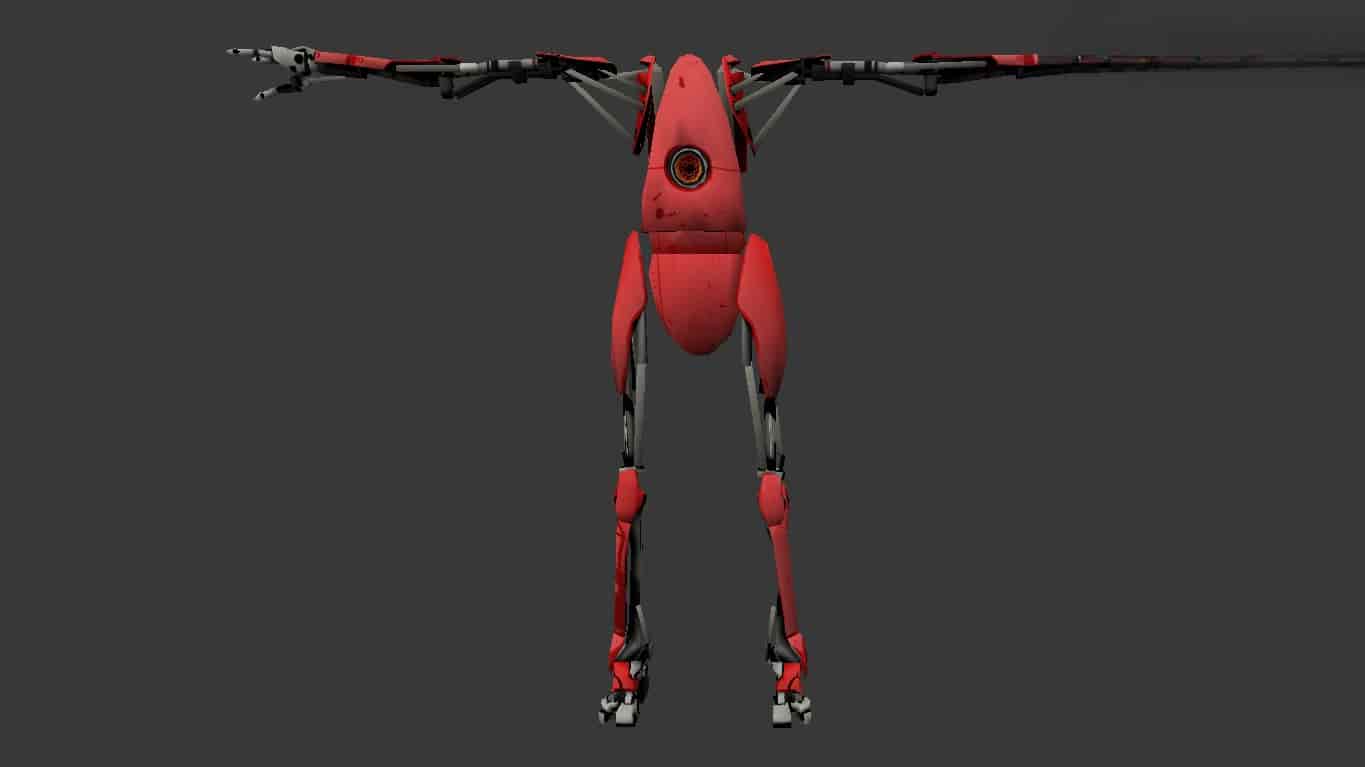 P-Body