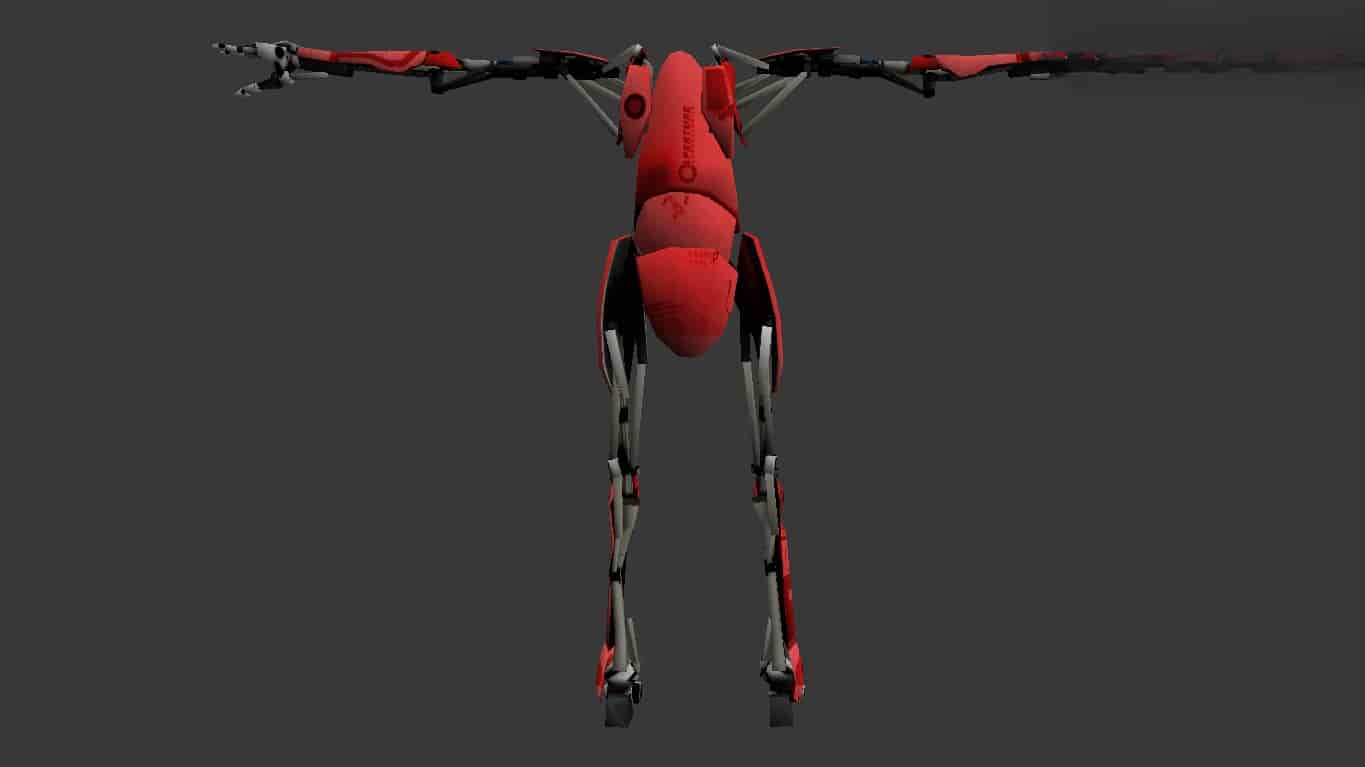 P-Body