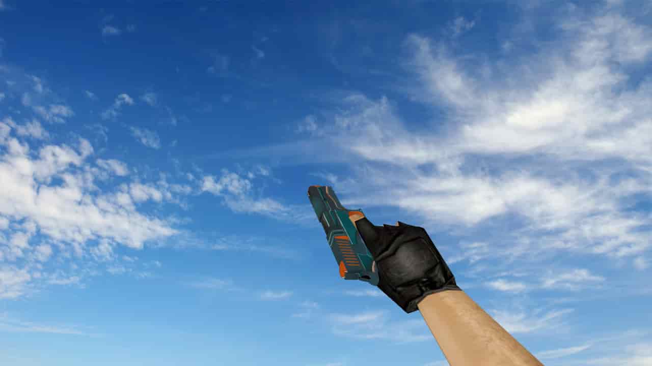 P250 Aquaique