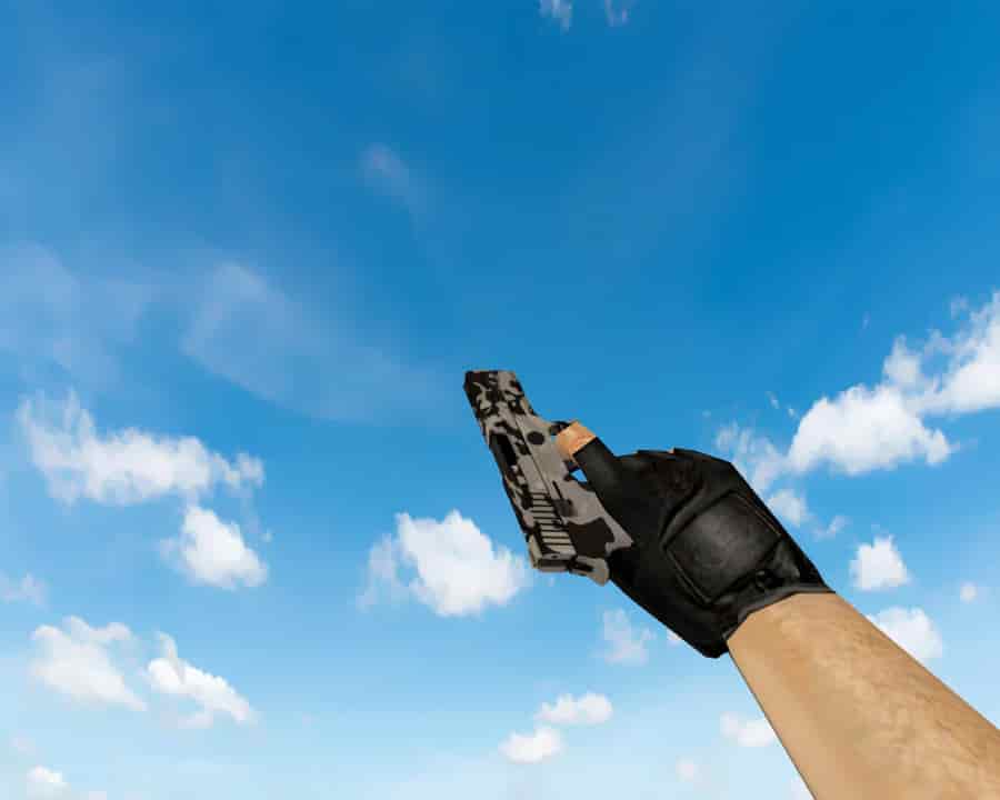 P250 | Чёрно-коричневый (Black & Tan)