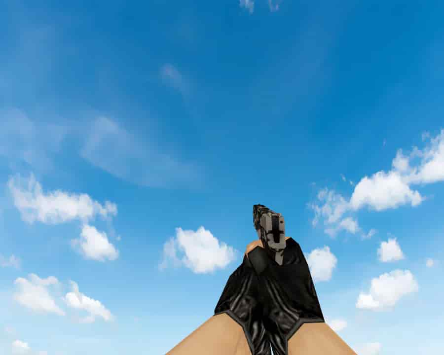 P250 | Чёрно-коричневый (Black & Tan)