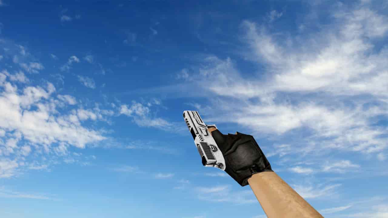 P250 Cerakote White