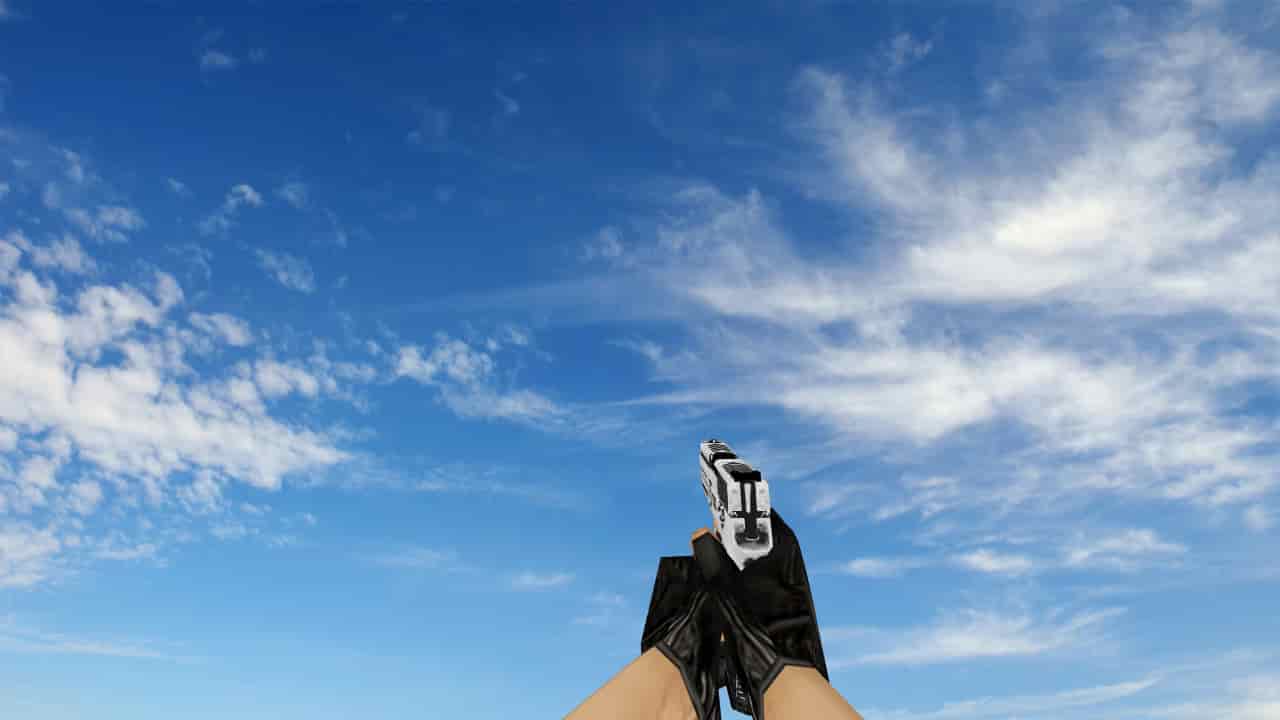 P250 Cerakote White