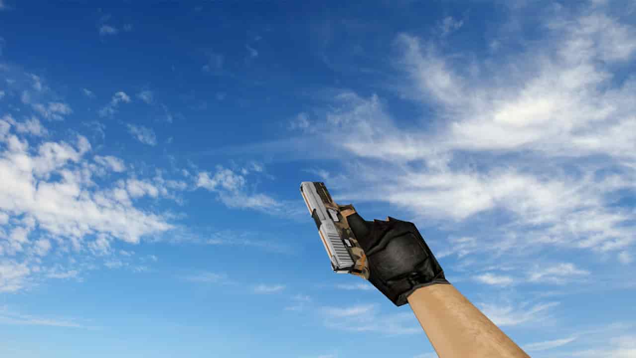 P250 Comebacker