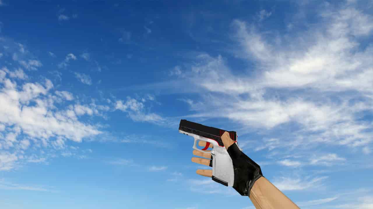 P250 Commander