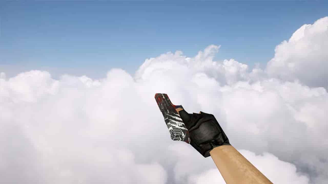 P250 «Выживший»