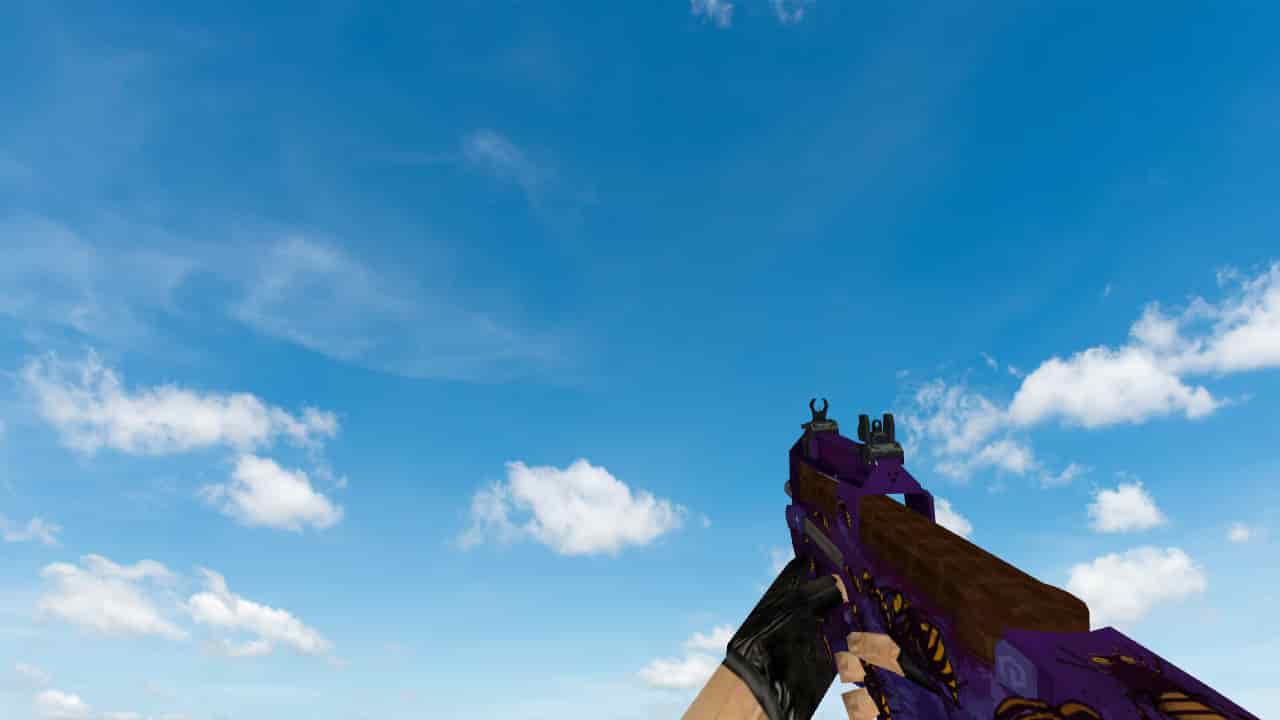 P90 The Swarp