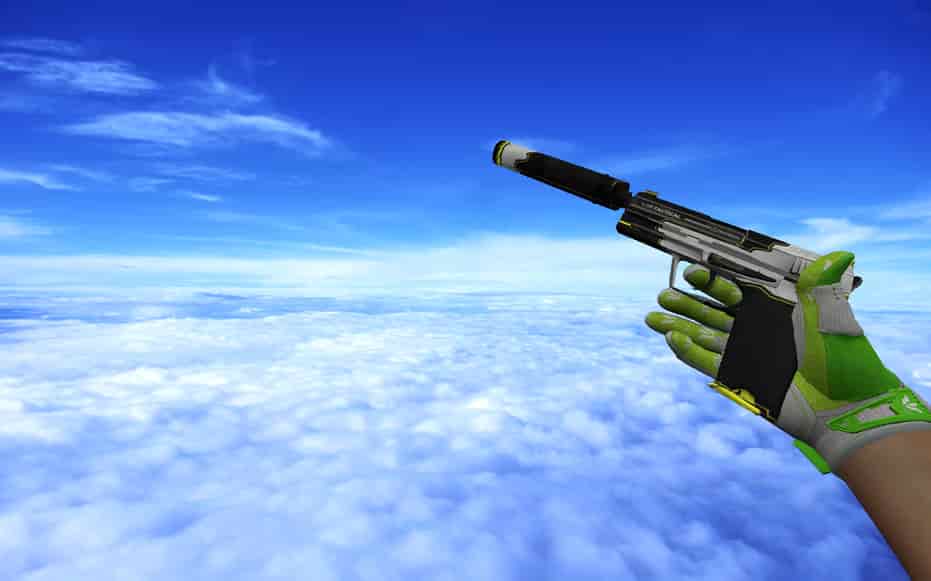 Pack Hedge Maze + Fracture Case