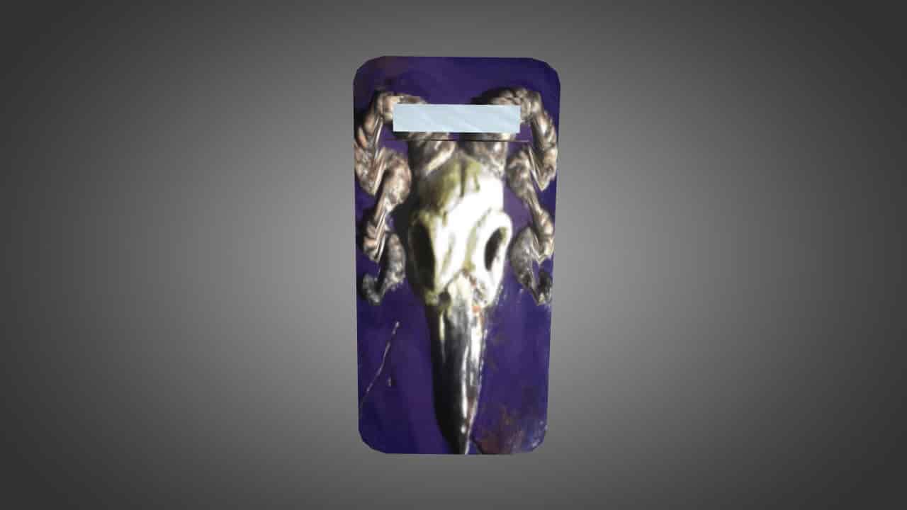 House Valkyrie Shield