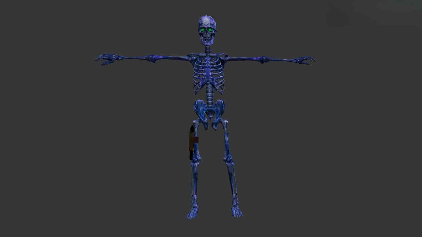 Skeleton КТ-ТТ