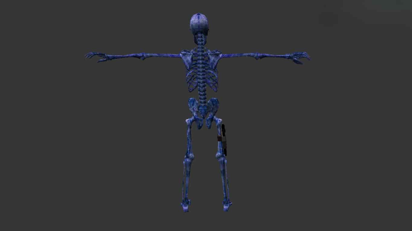 Skeleton КТ-ТТ