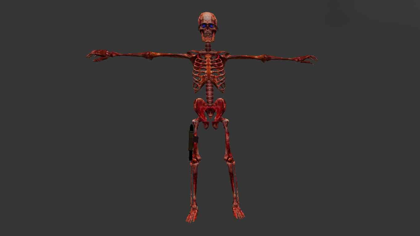 Skeleton КТ-ТТ