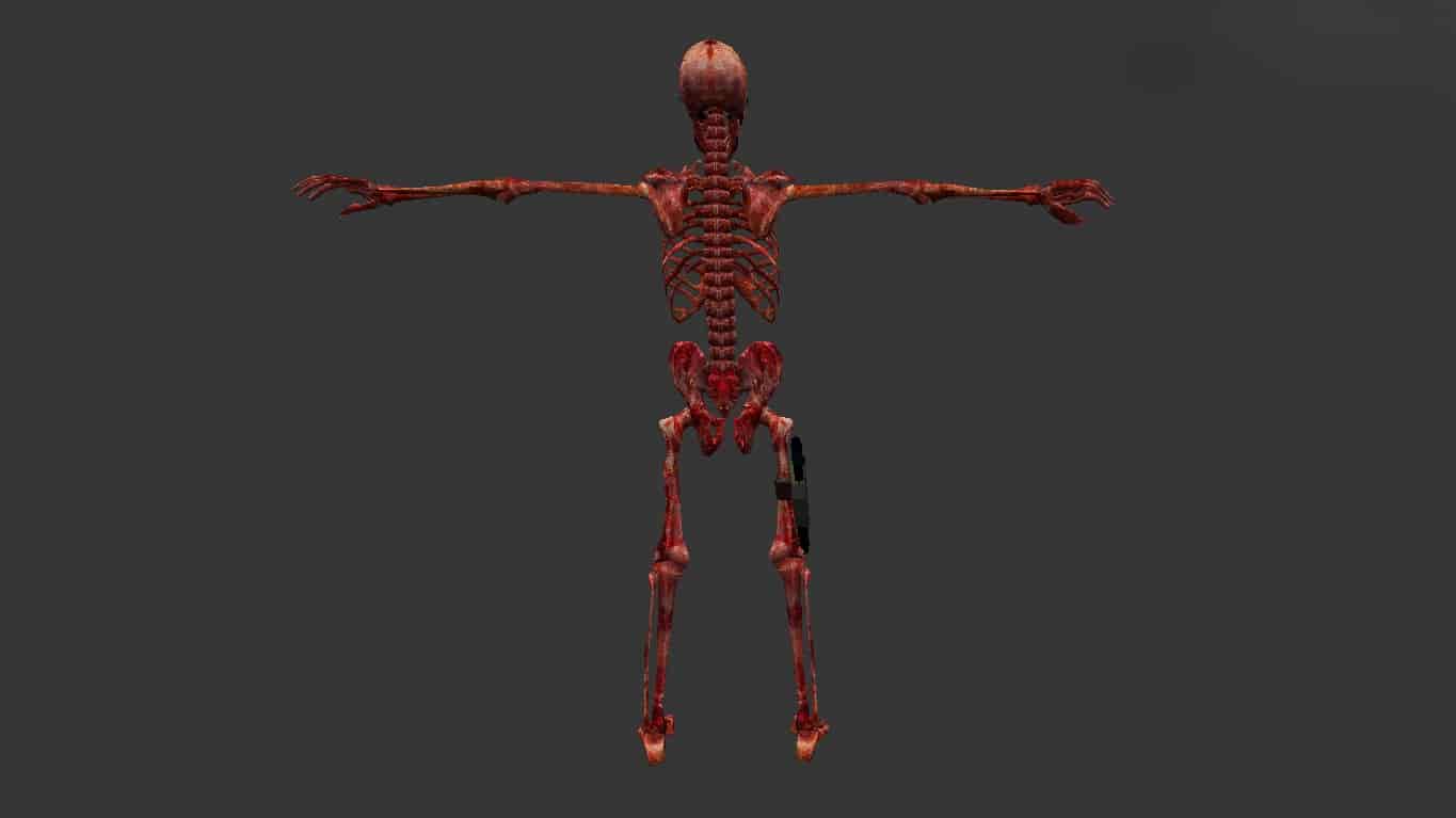 Skeleton КТ-ТТ