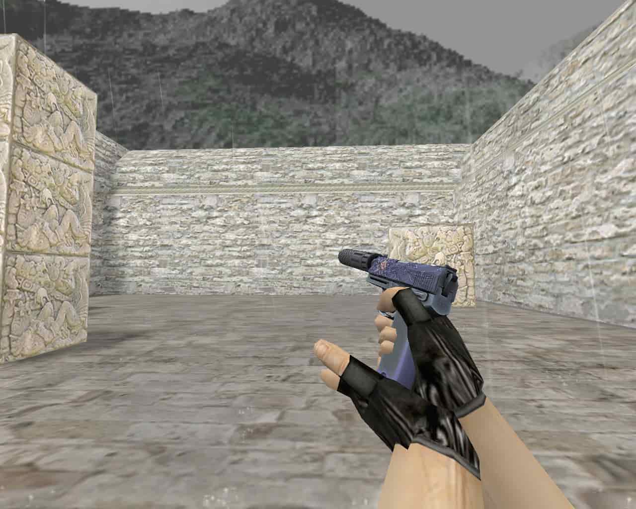 USP-S | Чёрный лотос (Black Lotus)