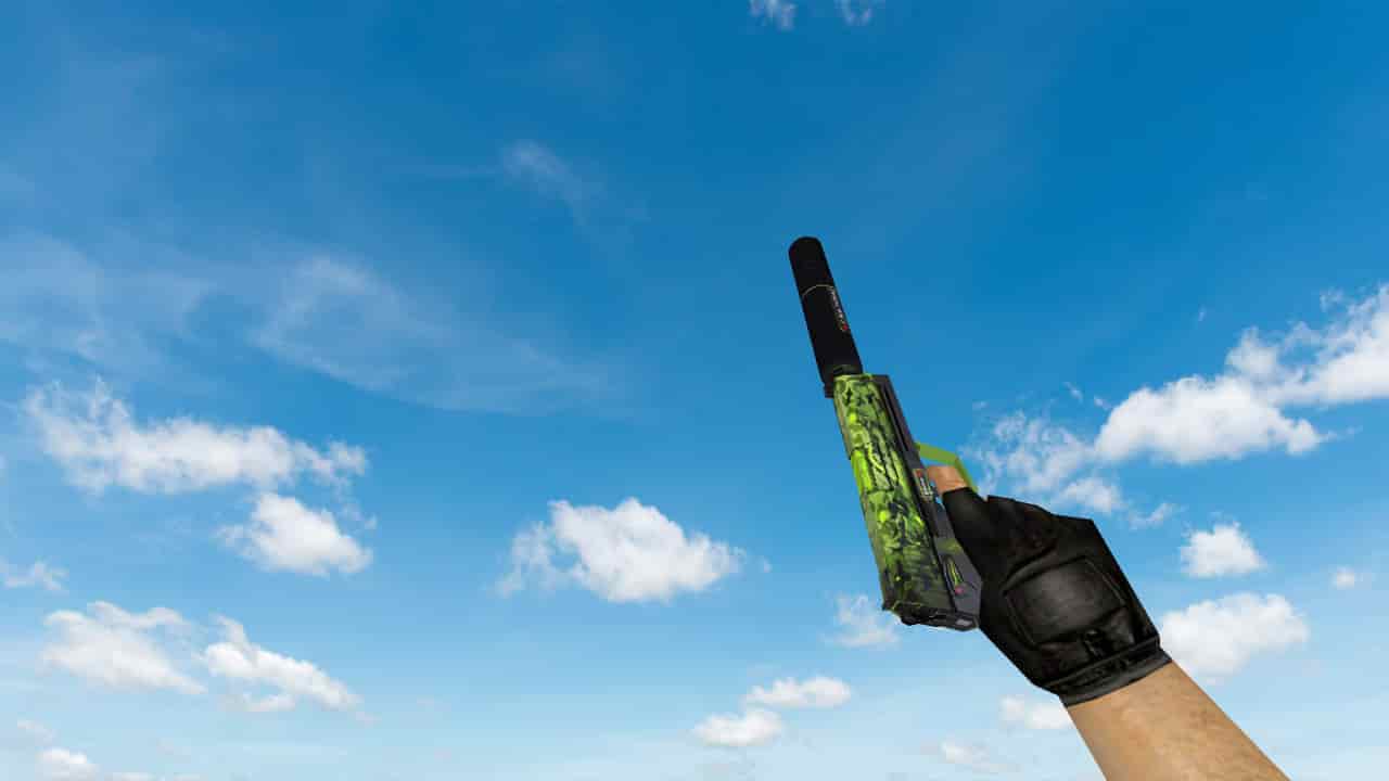 USP Stealth Hunter