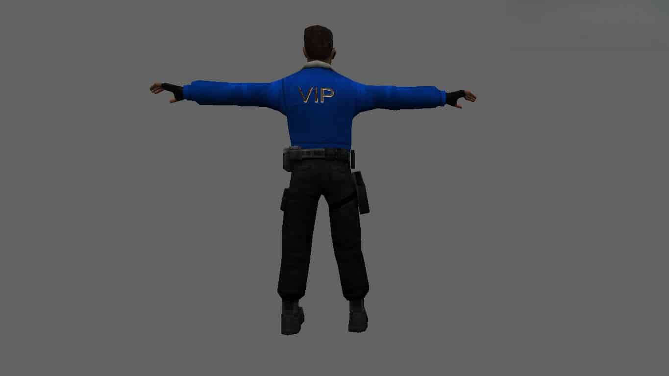 VIP CSS
