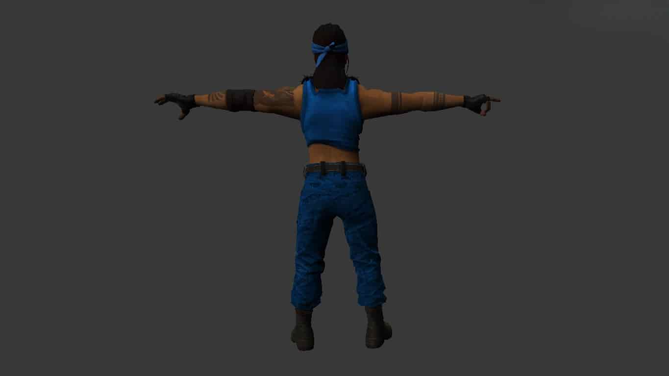Vypa Sista Revolution