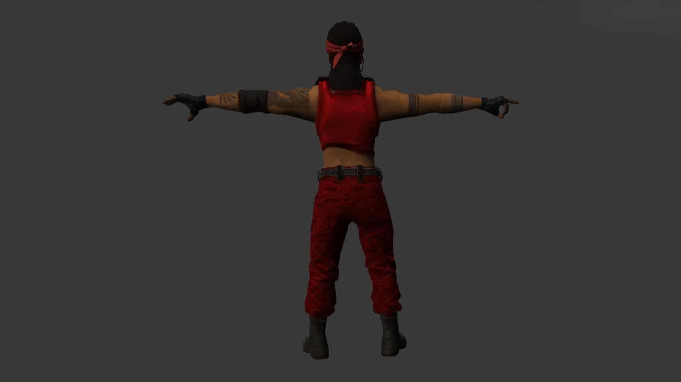 Vypa Sista Revolution