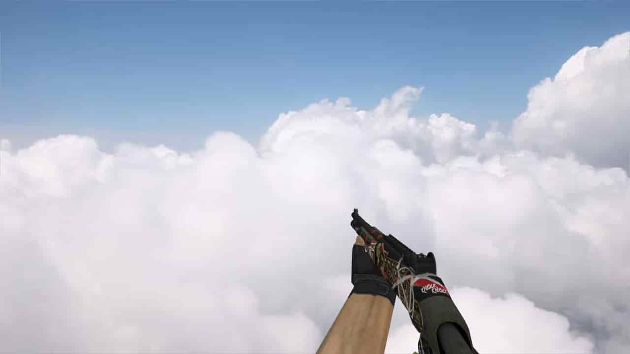 XM1014 Disorder