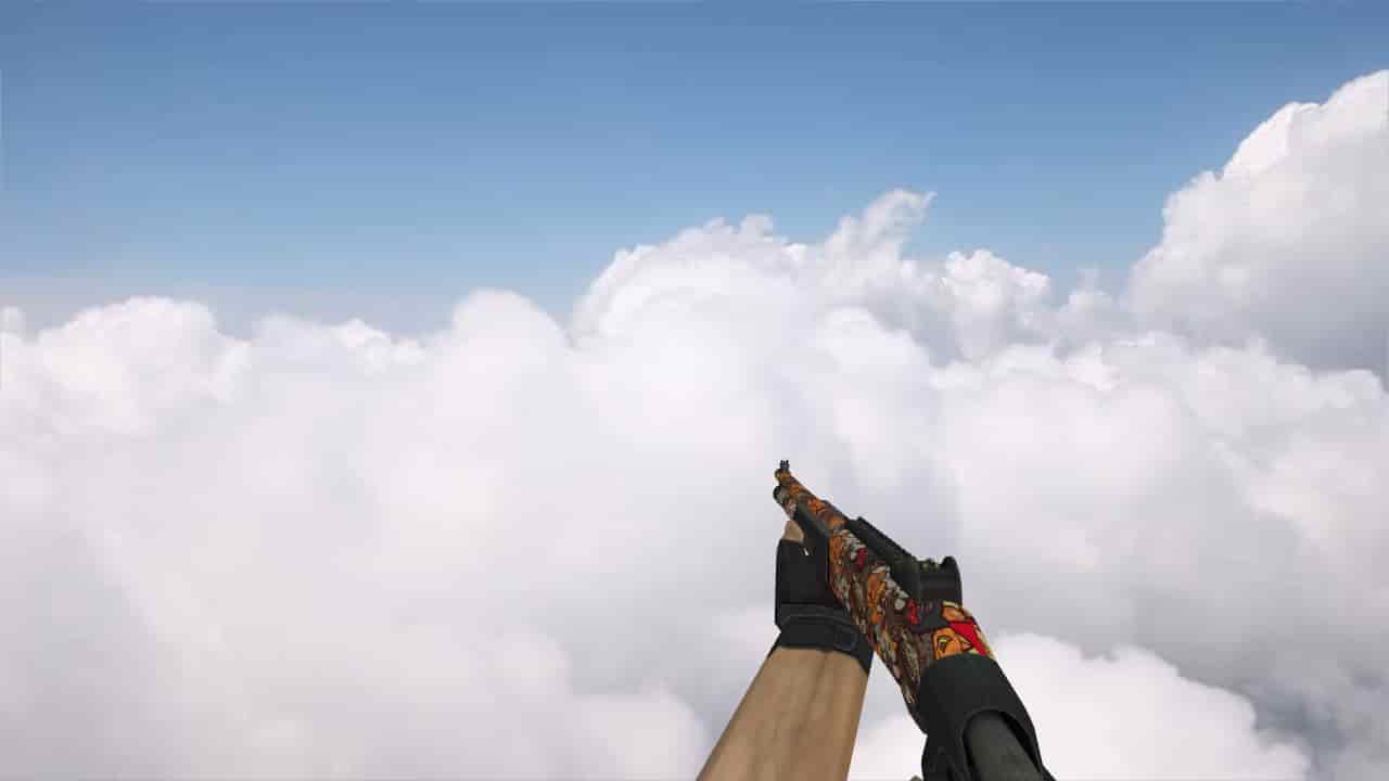 XM1014 PAW