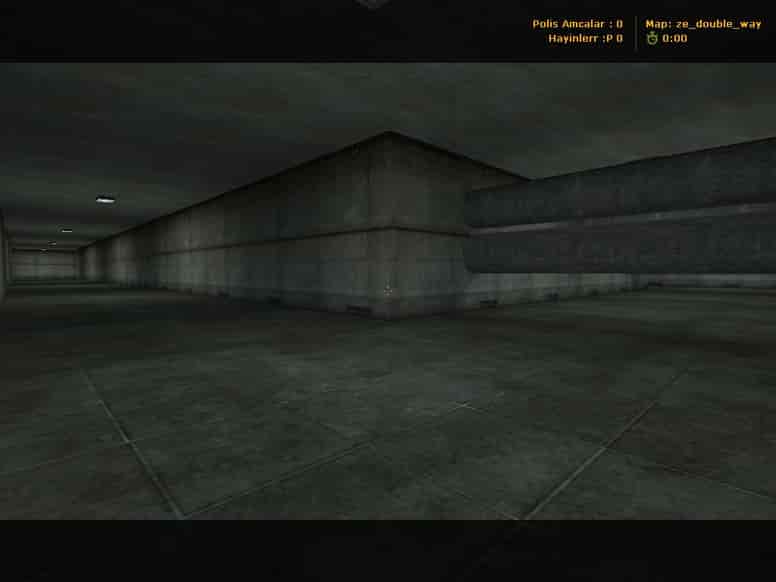 ze_double_way