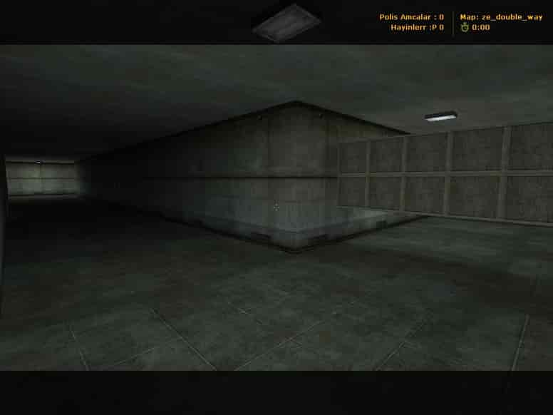 ze_double_way