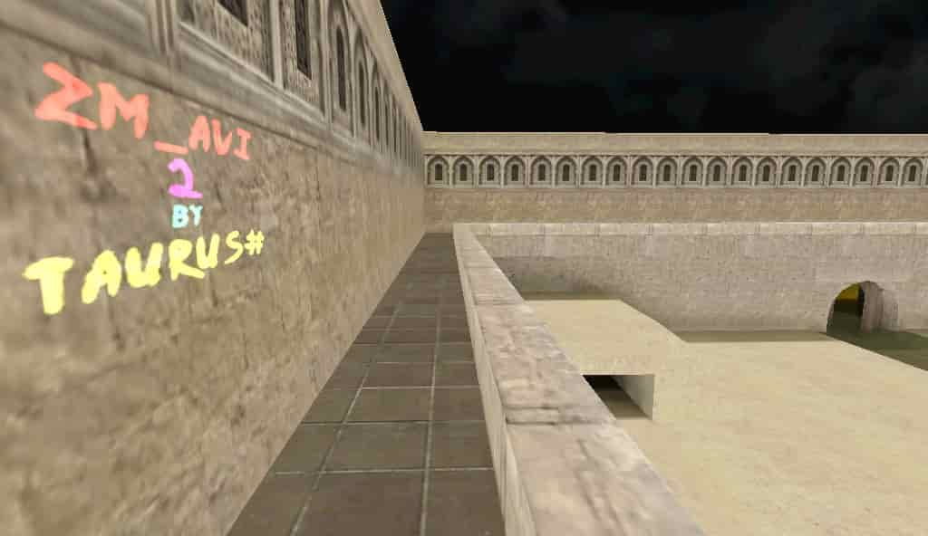 zm_avi2