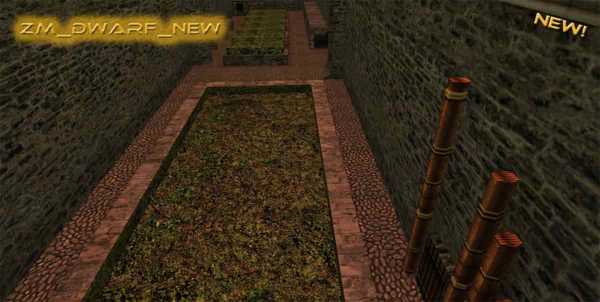 zm_dwarf_new_fixed