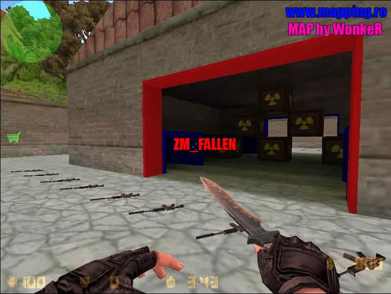 zm_fallen