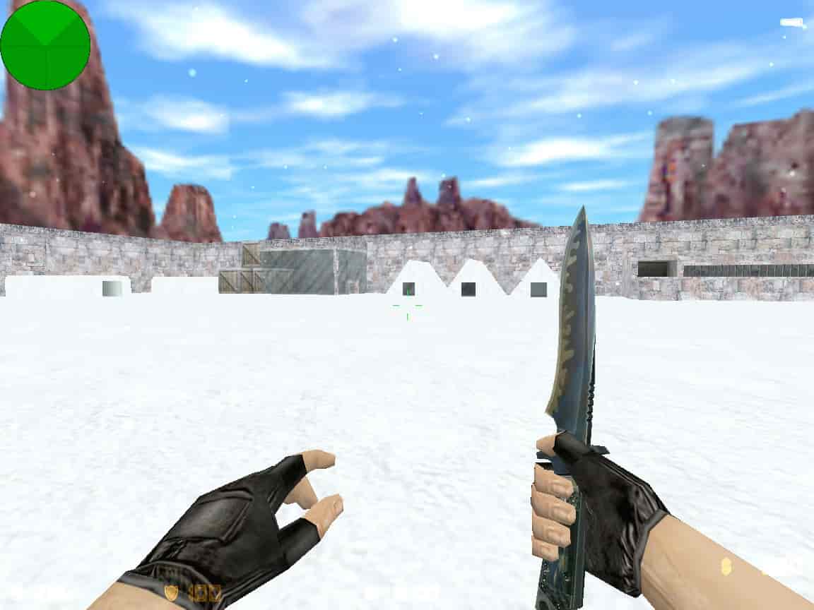 zm_snow55_dp
